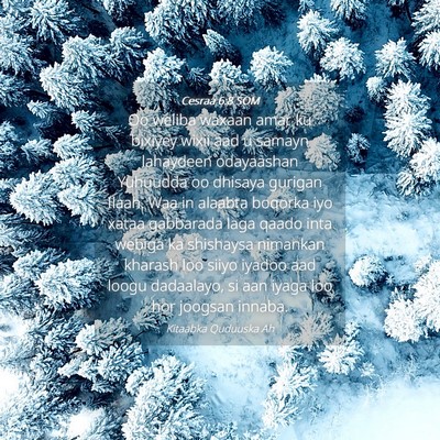 Picture 04 - Cesraa 6:8 SOM - Oo weliba waxaan amar ku bixiyey wixii aad u - Bible Verse Picture