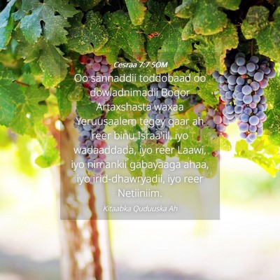 Picture 04 - Cesraa 7:7 SOM - Oo sannaddii toddobaad oo dowladnimadii Boqor - Bible Verse Picture
