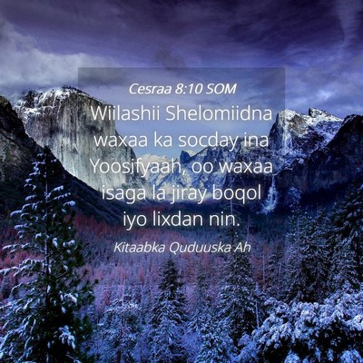 Picture 04 - Cesraa 8:10 SOM - Wiilashii Shelomiidna waxaa ka socday ina - Bible Verse Picture