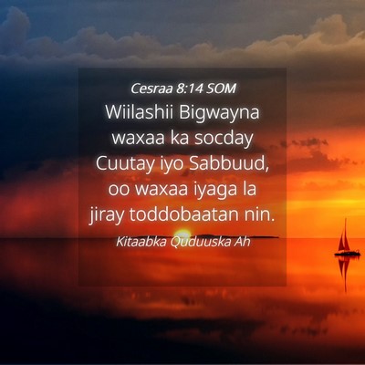 Picture 04 - Cesraa 8:14 SOM - Wiilashii Bigwayna waxaa ka socday Cuutay iyo - Bible Verse Picture