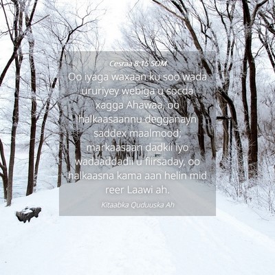 Picture 04 - Cesraa 8:15 SOM - Oo iyaga waxaan ku soo wada ururiyey webiga u - Bible Verse Picture