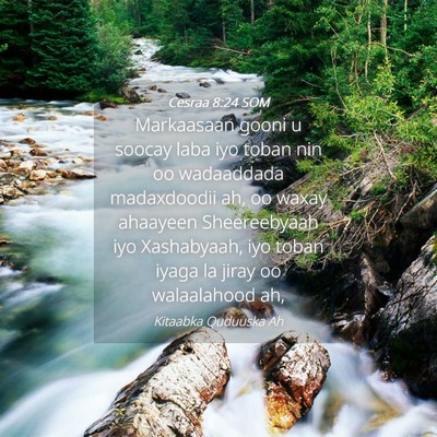 Picture 04 - Cesraa 8:24 SOM - Markaasaan gooni u soocay laba iyo toban nin oo - Bible Verse Picture