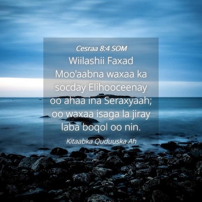 Picture 04 - Cesraa 8:4 SOM - Wiilashii Faxad Moo'aabna waxaa ka socday - Bible Verse Picture