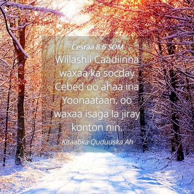 Picture 04 - Cesraa 8:6 SOM - Wiilashii Caadiinna waxaa ka socday Cebed oo ahaa - Bible Verse Picture