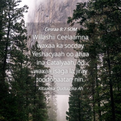 Picture 04 - Cesraa 8:7 SOM - Wiilashii Ceelaamna waxaa ka socday Yeshacyaah oo - Bible Verse Picture