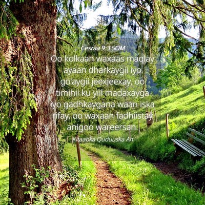 Picture 04 - Cesraa 9:3 SOM - Oo kolkaan waxaas maqlay ayaan dharkaygii iyo - Bible Verse Picture