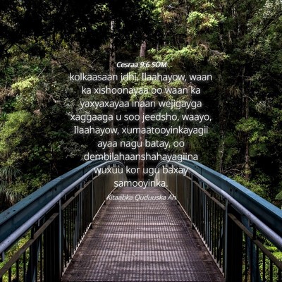 Picture 04 - Cesraa 9:6 SOM - kolkaasaan idhi, Ilaahayow, waan ka xishoonayaa - Bible Verse Picture
