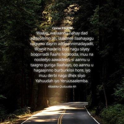 Picture 04 - Cesraa 9:9 SOM - Waayo, waxaannu nahay dad addoommo ah, laakiinse - Bible Verse Picture