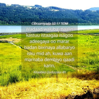 Picture 04 - Cibraaniyada 10:11 SOM - Wadaad waluba maalin kastuu istaagaa isagoo - Bible Verse Picture