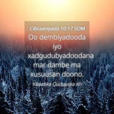 Picture 04 - Cibraaniyada 10:17 SOM - Oo dembiyadooda iyo xadgudubyadoodana mar dambe - Bible Verse Picture