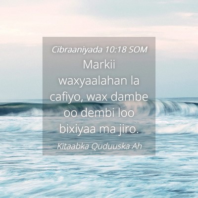 Picture 04 - Cibraaniyada 10:18 SOM - Markii waxyaalahan la cafiyo, wax dambe oo dembi - Bible Verse Picture
