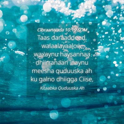 Picture 04 - Cibraaniyada 10:19 SOM - Taas daraaddeed, walaalayaalow, waxaynu haysannaa - Bible Verse Picture