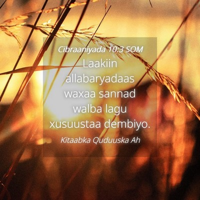 Picture 04 - Cibraaniyada 10:3 SOM - Laakiin allabaryadaas waxaa sannad walba lagu - Bible Verse Picture
