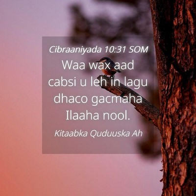 Picture 04 - Cibraaniyada 10:31 SOM - Waa wax aad cabsi u leh in lagu dhaco gacmaha - Bible Verse Picture