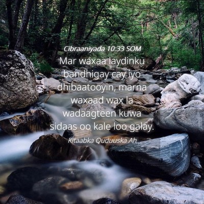 Picture 04 - Cibraaniyada 10:33 SOM - Mar waxaa laydinku bandhigay cay iyo - Bible Verse Picture