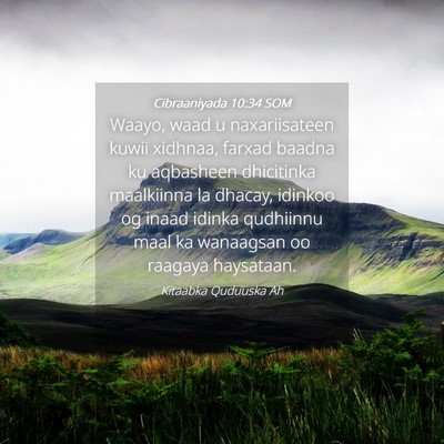 Picture 04 - Cibraaniyada 10:34 SOM - Waayo, waad u naxariisateen kuwii xidhnaa, farxad - Bible Verse Picture
