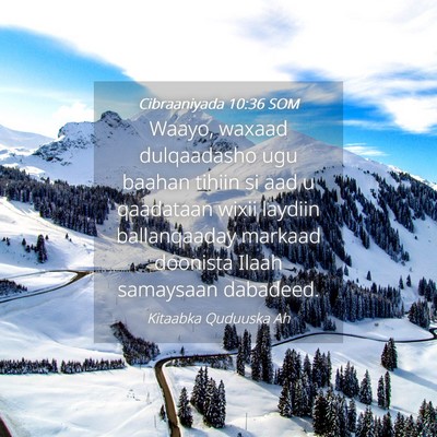 Picture 04 - Cibraaniyada 10:36 SOM - Waayo, waxaad dulqaadasho ugu baahan tihiin si - Bible Verse Picture
