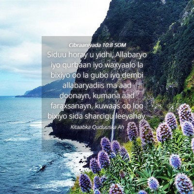 Picture 04 - Cibraaniyada 10:8 SOM - Siduu horay u yidhi, Allabaryo iyo qurbaan iyo - Bible Verse Picture