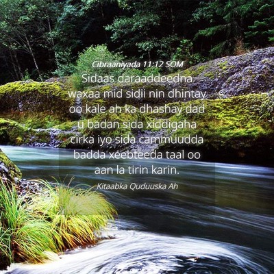Picture 04 - Cibraaniyada 11:12 SOM - Sidaas daraaddeedna waxaa mid sidii nin dhintay - Bible Verse Picture