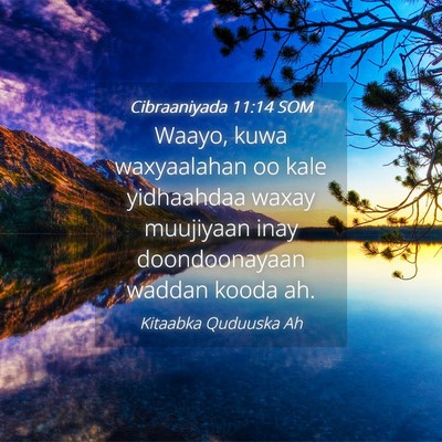 Picture 04 - Cibraaniyada 11:14 SOM - Waayo, kuwa waxyaalahan oo kale yidhaahdaa waxay - Bible Verse Picture