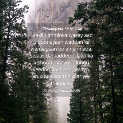 Picture 04 - Cibraaniyada 11:16 SOM - Laakiin imminka waxay aad u doonayaan waddan ka - Bible Verse Picture