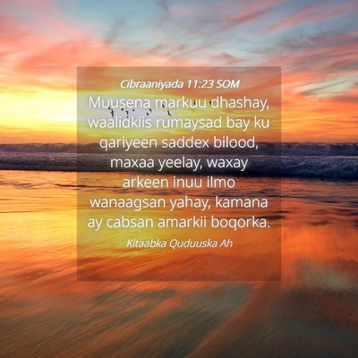 Picture 04 - Cibraaniyada 11:23 SOM - Muusena markuu dhashay, waalidkiis rumaysad bay - Bible Verse Picture
