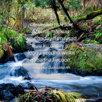 Picture 04 - Cibraaniyada 11:24 SOM - Muuse markuu weynaaday rumaysad buu ku diiday in - Bible Verse Picture