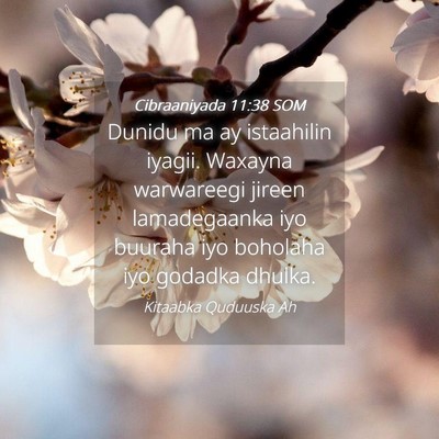 Picture 04 - Cibraaniyada 11:38 SOM - Dunidu ma ay istaahilin iyagii. Waxayna - Bible Verse Picture