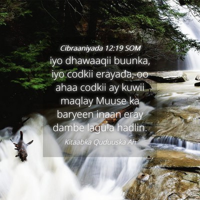 Picture 04 - Cibraaniyada 12:19 SOM - iyo dhawaaqii buunka, iyo codkii erayada, oo ahaa - Bible Verse Picture