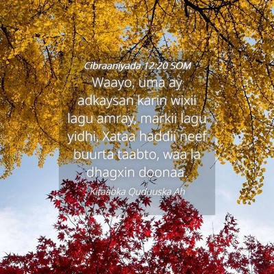Picture 04 - Cibraaniyada 12:20 SOM - Waayo, uma ay adkaysan karin wixii lagu amray, - Bible Verse Picture