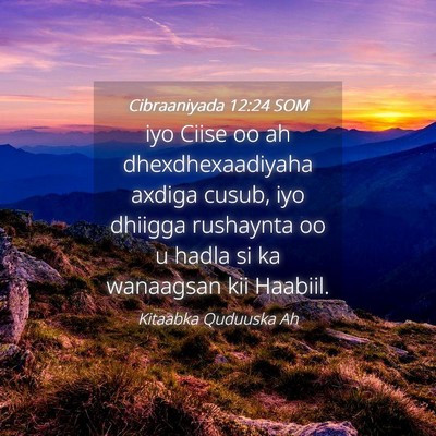 Picture 04 - Cibraaniyada 12:24 SOM - iyo Ciise oo ah dhexdhexaadiyaha axdiga cusub, - Bible Verse Picture