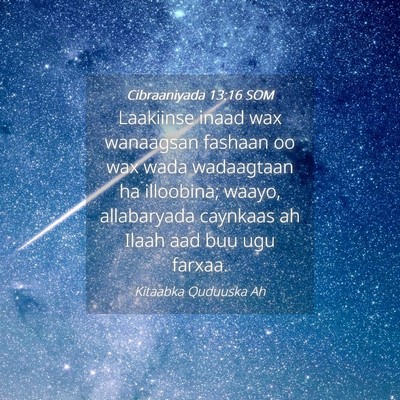 Picture 04 - Cibraaniyada 13:16 SOM - Laakiinse inaad wax wanaagsan fashaan oo wax wada - Bible Verse Picture