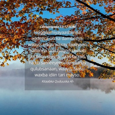 Picture 04 - Cibraaniyada 13:17 SOM - Hoggaamiyayaashiinna addeeca oo ka dambeeya, - Bible Verse Picture