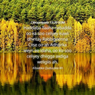 Picture 04 - Cibraaniyada 13:20 SOM - Haddaba Ilaaha nabadda oo ka soo celiyey kuwii - Bible Verse Picture