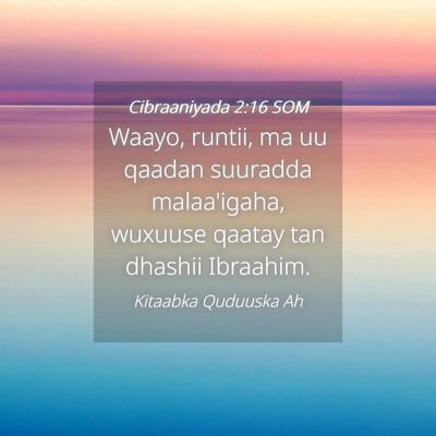 Picture 04 - Cibraaniyada 2:16 SOM - Waayo, runtii, ma uu qaadan suuradda malaa'igaha, - Bible Verse Picture