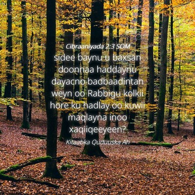 Picture 04 - Cibraaniyada 2:3 SOM - sidee baynu u baxsan doonnaa haddaynu dayacno - Bible Verse Picture