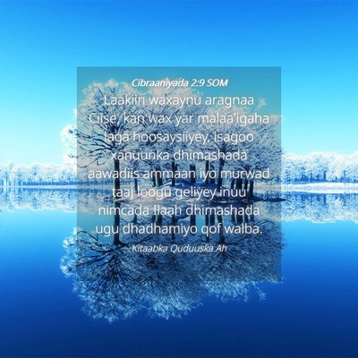 Picture 04 - Cibraaniyada 2:9 SOM - Laakiin waxaynu aragnaa Ciise, kan wax yar - Bible Verse Picture