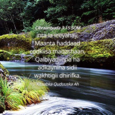 Picture 04 - Cibraaniyada 3:15 SOM - inta la leeyahay, Maanta haddaad codkiisa - Bible Verse Picture