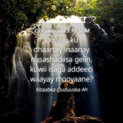 Picture 04 - Cibraaniyada 3:18 SOM - Oo yuu ku dhaartay inaanay nasashadiisa gelin, - Bible Verse Picture