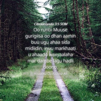 Picture 04 - Cibraaniyada 3:5 SOM - Oo runtii Muuse gurigiisa oo dhan aamin buu ugu - Bible Verse Picture