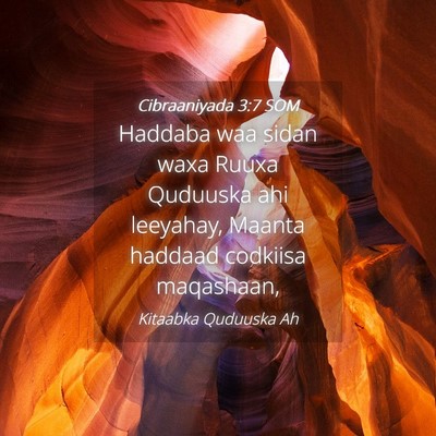 Picture 04 - Cibraaniyada 3:7 SOM - Haddaba waa sidan waxa Ruuxa Quduuska ahi - Bible Verse Picture