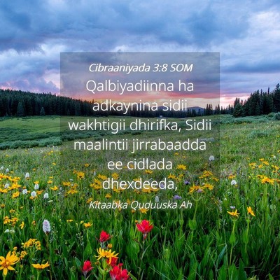 Picture 04 - Cibraaniyada 3:8 SOM - Qalbiyadiinna ha adkaynina sidii wakhtigii - Bible Verse Picture