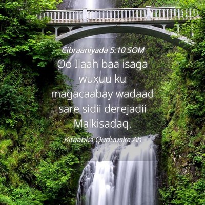 Picture 04 - Cibraaniyada 5:10 SOM - Oo Ilaah baa isaga wuxuu ku magacaabay wadaad - Bible Verse Picture