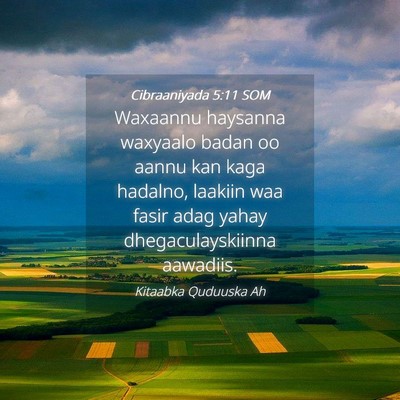Picture 04 - Cibraaniyada 5:11 SOM - Waxaannu haysanna waxyaalo badan oo aannu kan - Bible Verse Picture