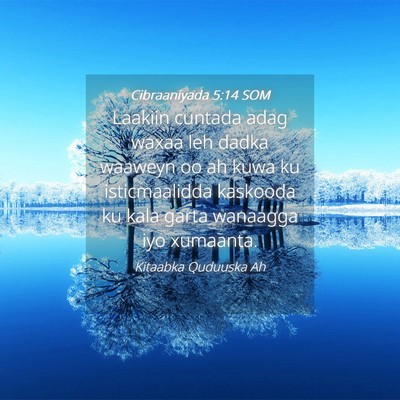 Picture 04 - Cibraaniyada 5:14 SOM - Laakiin cuntada adag waxaa leh dadka waaweyn oo - Bible Verse Picture