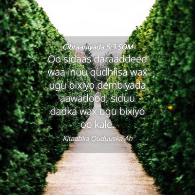 Picture 04 - Cibraaniyada 5:3 SOM - Oo sidaas daraaddeed waa inuu qudhiisa wax ugu - Bible Verse Picture