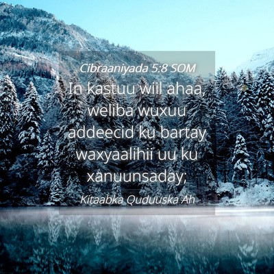 Picture 04 - Cibraaniyada 5:8 SOM - In kastuu wiil ahaa, weliba wuxuu addeecid ku - Bible Verse Picture