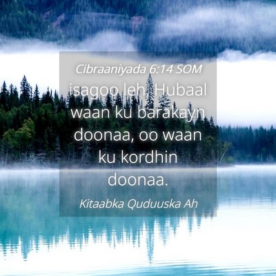 Picture 04 - Cibraaniyada 6:14 SOM - isagoo leh, Hubaal waan ku barakayn doonaa, oo - Bible Verse Picture