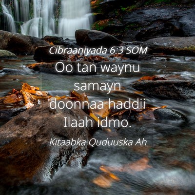 Picture 04 - Cibraaniyada 6:3 SOM - Oo tan waynu samayn doonnaa haddii Ilaah - Bible Verse Picture