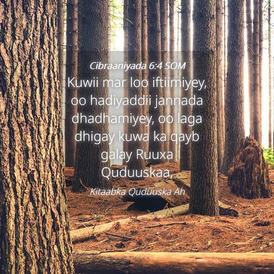 Picture 04 - Cibraaniyada 6:4 SOM - Kuwii mar loo iftiimiyey, oo hadiyaddii jannada - Bible Verse Picture